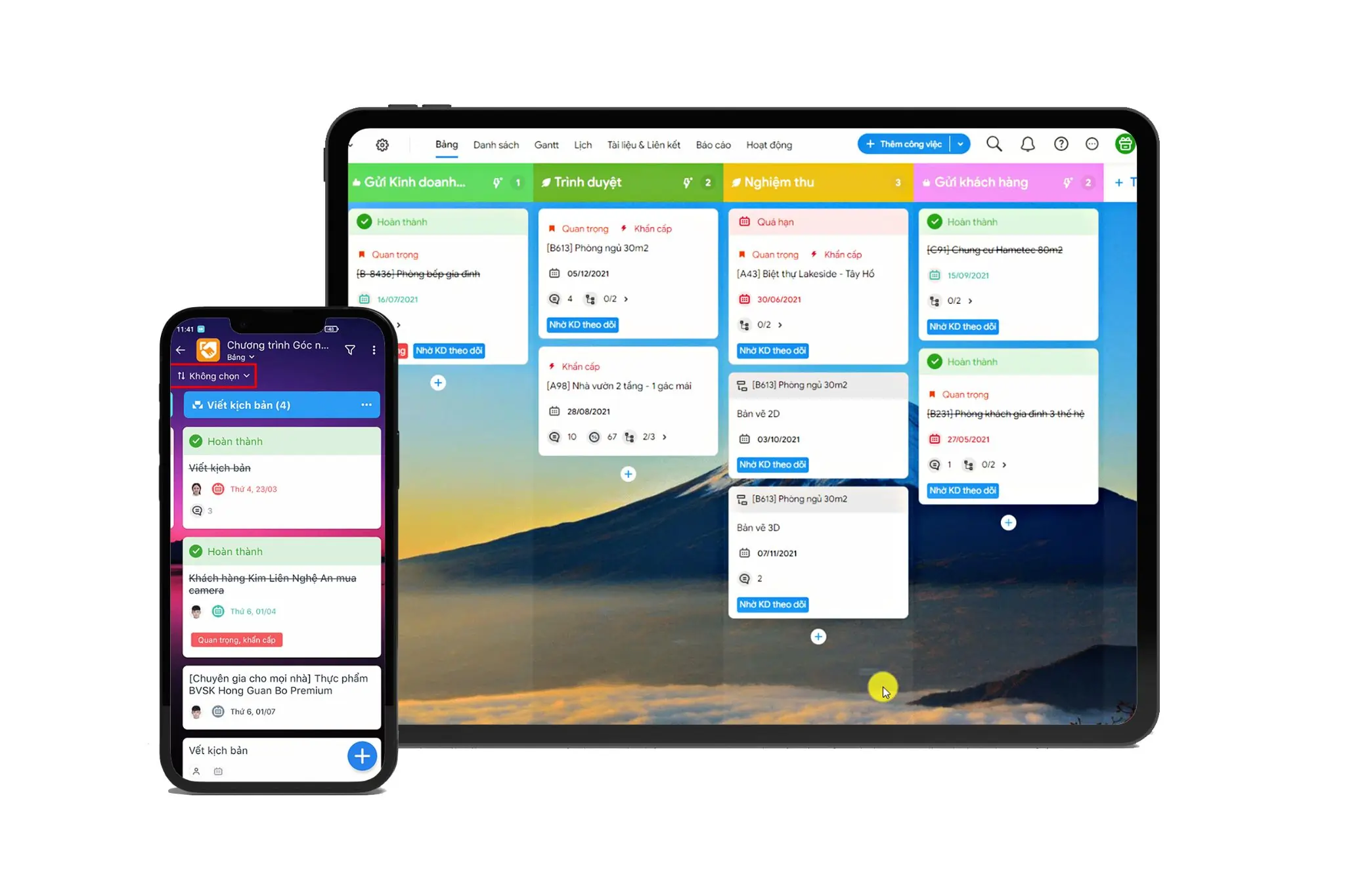 Misa Amis Công việc