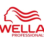 wella salon